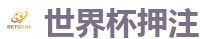 2026 FIFA 世界杯(押注)官方中文站